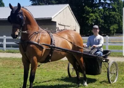 Dragonsmeade Paragon and Alex Coombes