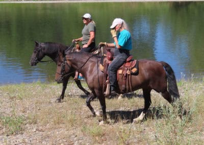 Okan Morgans Around the Ranch 4